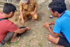  Kejar-kejaran di Jalan Tol, Dua Pengedar Diamankan Polres Bengkulu Tengah