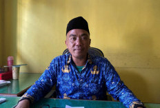 Hingga Juli 2025, Total 10 Kasus Pelecehan Seksual Terjadi di Seluma