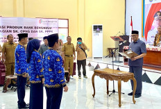 Pemkab Bengkulu Tengah Bakal Terima 413 Formasi CPNS, Sudah Disetujui MenPANRB