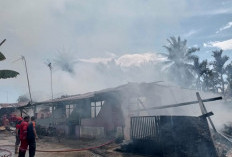 5 Bedengan Terbakar di Nusa Indah, Sempat Terlihat Anak-anak Bermain Api Sebelum Kebakaran 