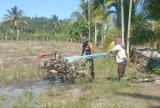 Babinsa Bantu Bajak Sawah Petani Desa Binaan, Kawal Swasembada Pangan