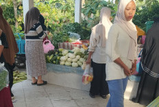 Harga Bapokting di Lebong Mulai Turun