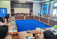 Audit BPK Dimulai, Pejabat Pindah Daerah Tetap Diminta Pertanggungjawaban 