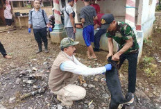 Kepahiang Usulkan Dokter Hewan, Saat Ini Mengalami Kekosongan