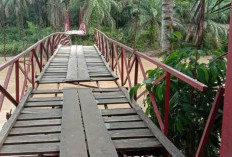 Akses ke Kawasan Pertanian Desa Lumpuh, Jembatan Rusak Belum Diperbaiki
