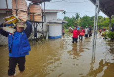 12 Kelurahan Terendam Banjir, 473 KK Terdampak, Dinas Sosial Kota Bengkulu Salurkan Bantuan Makanan Siap Saji