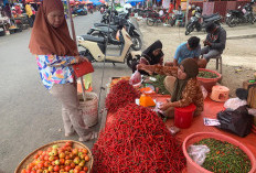  Harga Bahan Pokok di Kota Bengkulu Naik Diprediksi Hingga Ramadan