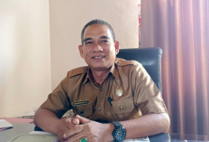 Kecamatan Enggano Dijadikan Pusat Tanaman Kelapa Unggul 