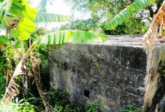 Banyak yang Belum Tahu!  Ternyata di Sungai Suci Ada Bungker Bersejarah, Peninggalan Penjajahan Jepang