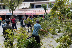 Waspada Angin Kencang, Cuaca Ekstrem Ancam Keselamatan Warga 