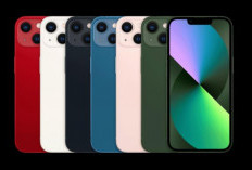 IPhone 13 Tetap Jadi Pilihan Solid, Ini Fitur-Fitur Lengkapnya 