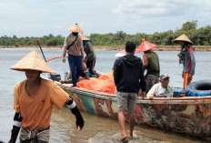 Aktivitas Kapal Trawl di Perairan Mukomuko Disorot, Kapolres: Sudah Koordinasi dengan Polair