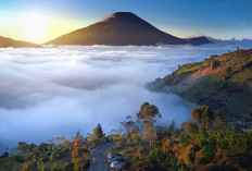 Pesona Negeri di Atas Awan Wonosobo, Perpaduan Alam yang Sulit Dilupakan