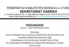 Pengumuman! Ini Daftar Lengkap Nama Peserta yang Lulus CPNS Bengkulu Utara