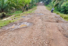  Jalan Jayakarta - Air Sebakul Memprihatinkan, Sekda: Kita Bangun di APBD Tahun 2025 