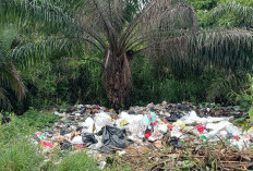 Usai Idul Fitri, Sampah di Kota Bengkulu Diprediksi meningkat, Gubernur: Semua Pihak Harus Berperan