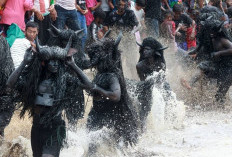 Tradisi Kebo-Keboan, Ritual Syukur dan Penolak Bala yang Bertahan Tiga Abad
