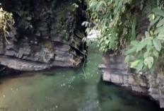 Wajib Dikunjungi Para Pelancong! Berikut 9 Wisata Eksotis di Bengkulu Selatan