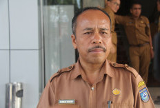 Realisasi Replanting Sawit Bengkulu Utara Menurun, Verifikasi Diperketat