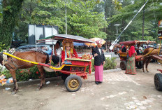 Pendaftar Nikah Massal yang Digelar DP3AP2KB Kota Bengkulu Baru Lima Pasang