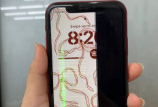 Tanda-tanda LCD iPhone Rusak dan Cara Mudah Mengatasinya