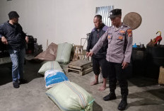 Apes, 2 Kawanan Maling di Rejang Lebong Dibacok Tetangga Pemilik Rumah