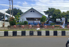 Penertiban PKL di Kota Bengkulu Diapresiasi, Akademisi Soroti Lemahnya Sosialisasi 