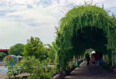 Hits, Populer, dan Wajib Dikunjungi! Berikut 5 Rekomendasi Wisata di Demak