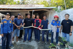 Masuk Kandang Ayam, Ular Piton Diamankan Damkar Bengkulu Selatan 