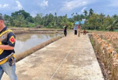 Belum 50 Persen DD dan ADD Tahap I Diaudit Inspektorat