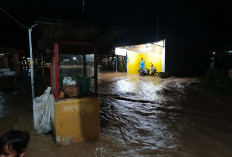 Hujan Deras dari Sore, Rumah Warga di Bintuhan Terendam Banjir