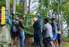 Belum Ada Tanda-Tanda Pengusutan, Pengamat Yakin APH Mampu Tangkap Pemilik Sawit Ilegal 