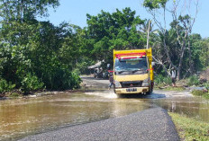Air Laut Pasang, Sempat Tutup Jalan Lintas Barat Bengkulu - Sumbar