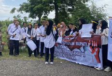 Pemkab Seluma Usulkan Pengangkatan PPPK Paruh Waktu ke KemenPAN-RB