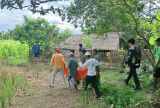  Evakuasi Jasad Petani Panorama Meninggal di Sawah Tempuh Jarak 1 Km