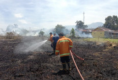 Kebakaran Lahan Kosong, Api Hampir Menjalar ke Pemukiman Warga