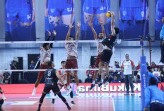 Ini Jadwal Final Four Proliga 2026