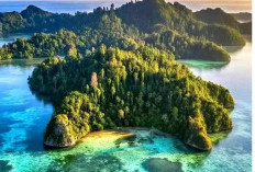 Fakta Unik dari Pulau Papua yang Menakjubkan