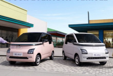 Harga Wuling Air EV Bekas Terbaru, Mulai Rp70 - 180 Jutaan