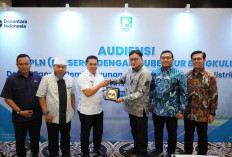 Bahas Tindak Lanjut Investasi PT PGE Hulu Lais