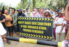 Usai Demo, Warga di Bengkulu Utara Akan Gugat Perdata dan PTUN HGU PT BRS  