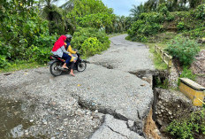 Jalan Sekunyit Belum Diperbaiki, Pemkab Bengkulu Selatan Tunggu Bantuan dari BPJN