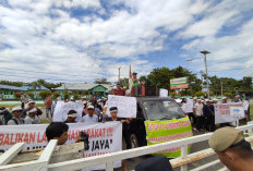 Petani Sawit Ancam Gelar Aksi Lebih Besar, Beri Tenggat 14 Hari Tutup PT DSJ 