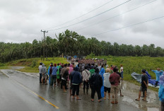 Polisi Proses Laporan Warga, Penjagaan PT Agricinal Diperketat Usai Rusuh 