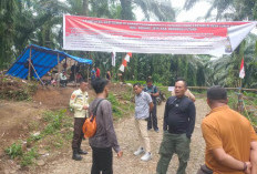 Polres Lengkapi Lagi Bukti dari Dinas LHK Provinsi Bengkulu Soal Pendudukan Kawasan Hutan