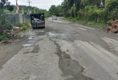 Jalan Nasional Rusak Diduga Akibat Proyek Jembatan, Dewan Desak Pemborong Proyek Bertanggungjawab