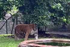 Spot Instagramable yang Wajib Kamu Kunjungi! Berikut 3 Destinasi Wisata Terpopuler di Jakarta Selatan 2025