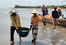 Usulkan 1.743 Nelayan Dapat BPJS Ketenagakerjaan Gratis, Upaya Dinas Perikanan Tahun 2025