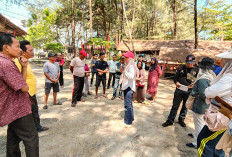 Festival Tabut 2026, UMKM Dipindah dari Badan Jalan Pantai Panjang
