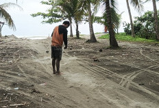 Cuaca Ekstrem, Nelayan di Pesisir Seluma Beralih Pekerjaan Sementara, Begini Saran Dinas Perikanan